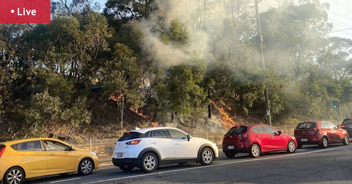 Brisbane news live: Cemetery catches fire in Brisbane’s east