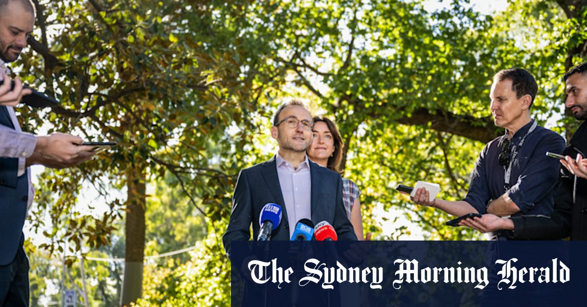 Bandt defiant as Greens lose lower house ground