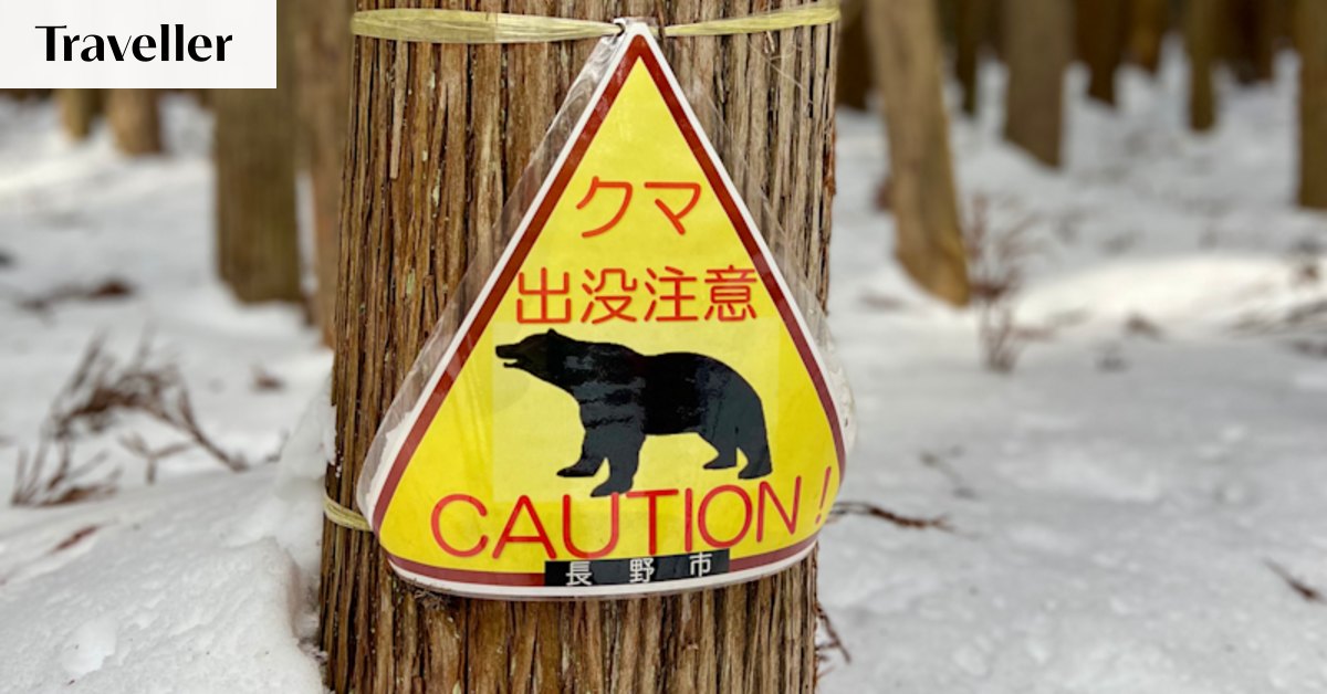 Bear attacks have surged in Japan. I met the man who still hunts them