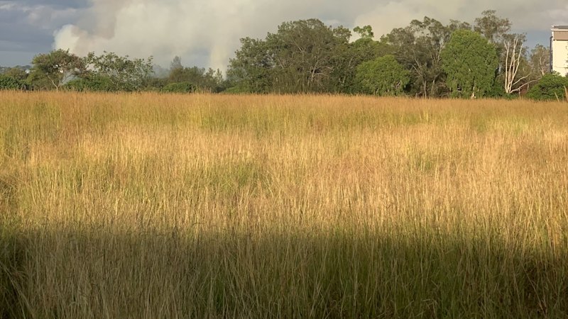 Fire south of the city shrouds Brisbane in smoke