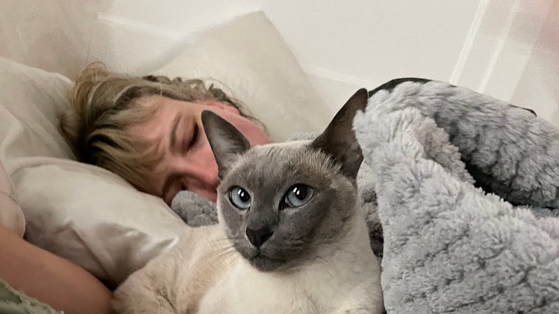 new