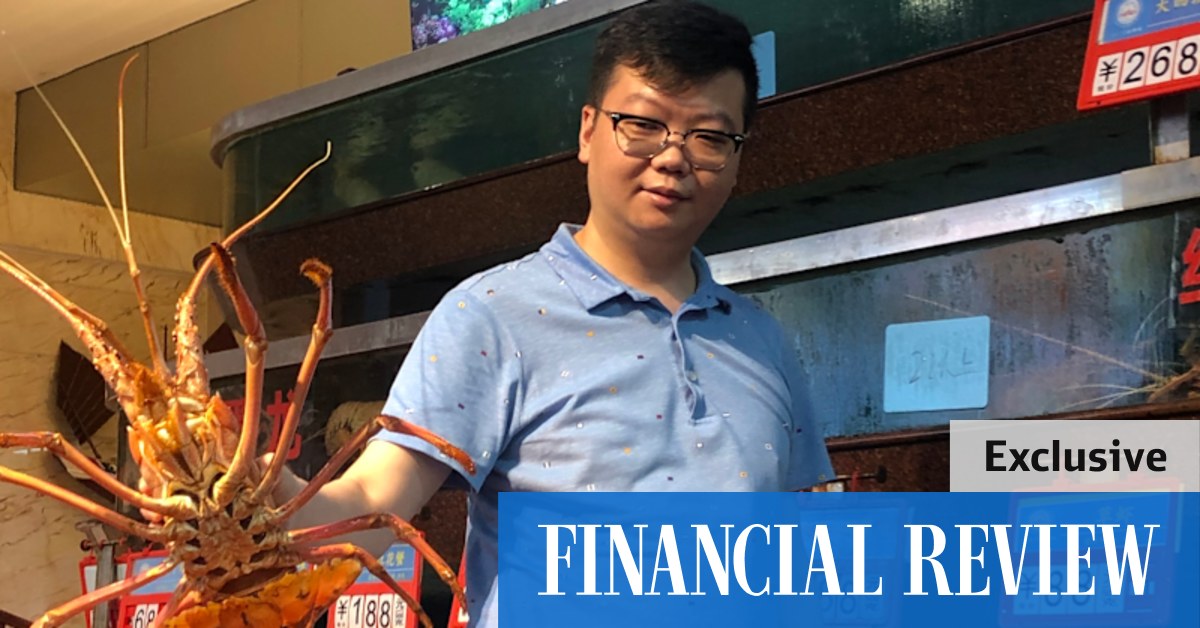 Chinese importers say Australian lobster trade could be back soon - Vimarsana News