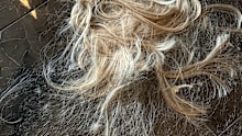 The look was achieved with extensions by celebrity hairstylist Marie Uva.