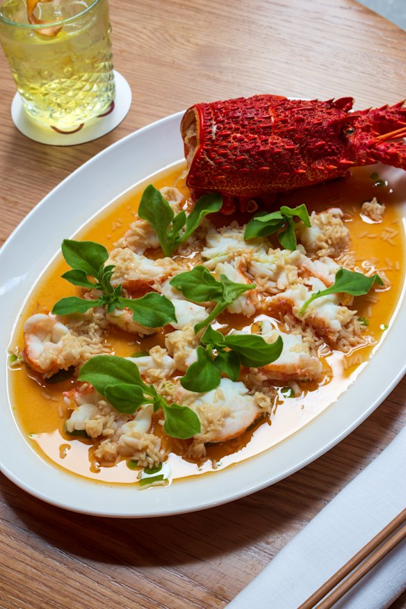 Southern rock lobster.