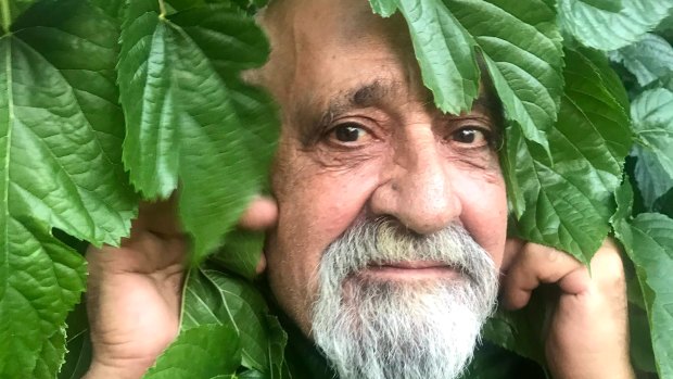 My father’s quirky idea of a family tree is the reason I miss him most