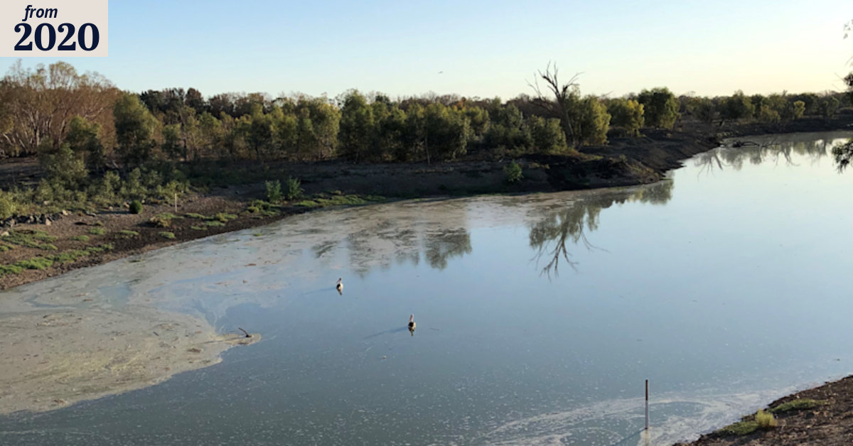 Murray-Darling basin: Two million fish to be released into system