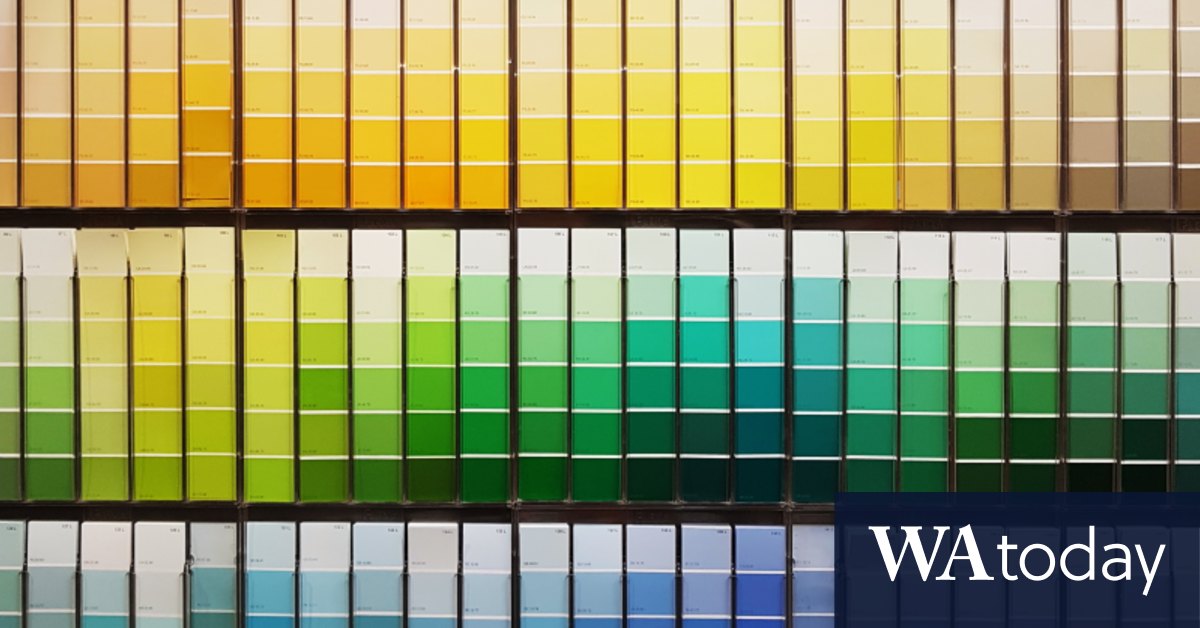 The perils of choosing a paint colour for your house - Vimarsana News