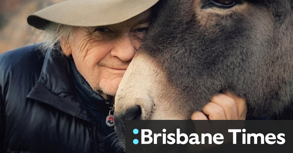 EO is Jerzy Skolimowski's charming movie about a donkey - Vimarsana News