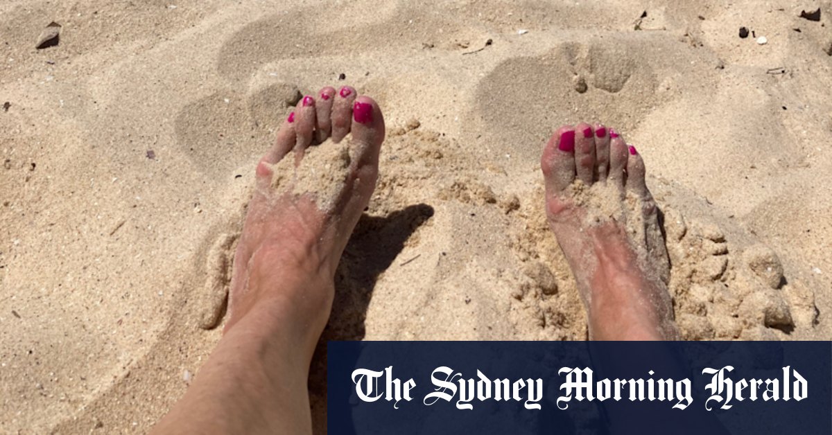 Pricey Mosman, where the beach and views are free - Vimarsana News