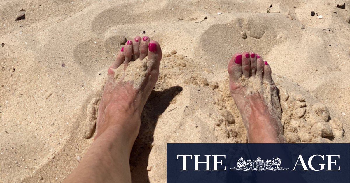 Pricey Mosman, where the beach and views are free - Vimarsana News