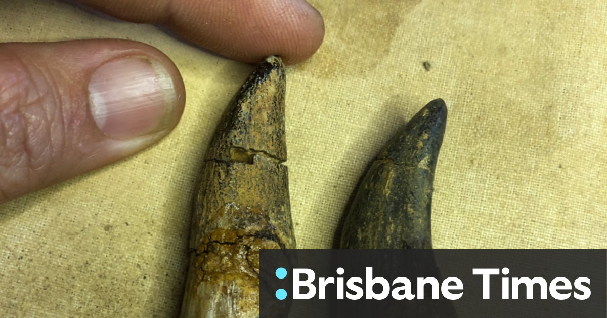 Naukowcy zagłębiają się w badania nad dietą dinozaurów po odkryciu rzadkich skamieniałości