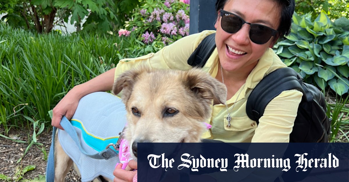The man and his dog who travelled the world