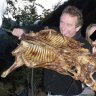 Robert F Kennedy Jr poses with an animal carcass.