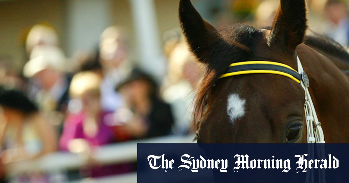 Race-by-race preview and tips for Tuesday’s meeting at Taree