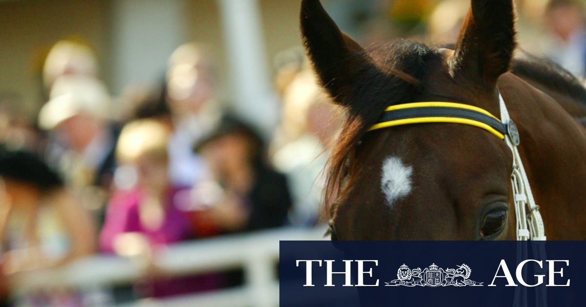 Racebyrace tips and previews for Friday’s Scone meeting