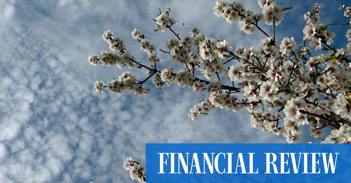 Big money goes nuts for almond orchards and other farmland assets - Vimarsana News