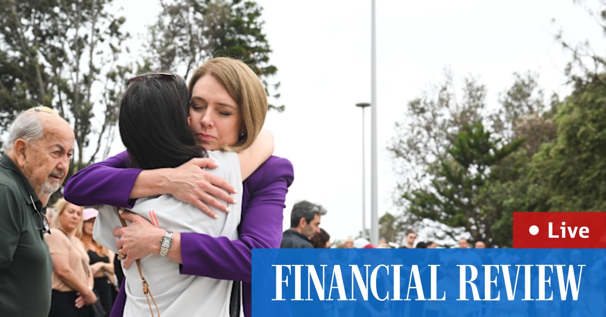 NSW Coalition split on gun and protest reforms