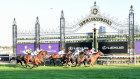 Television networks are interested in the Melbourne Cup carnival, but it will all come down to price.