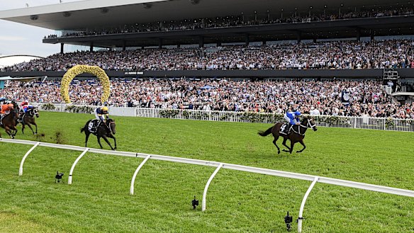 Streaking away: Winx wins the George Ryder Stakes at a canter at Rosehill on Saturday.
