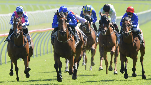 Canberra sprinter Fell Swoop, far left, finished third in the listed Christmas Classic.