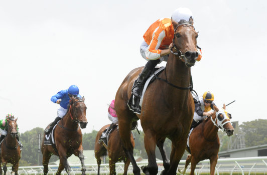 Rating up: Ljungberg scores an easy win at Randwick earlier in the month.