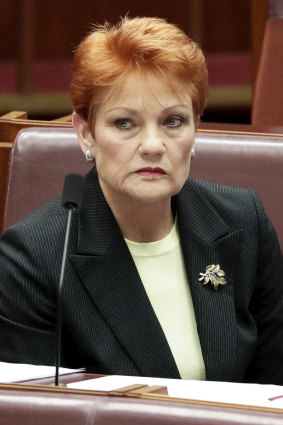 Senator Hanson rejected the Turnbull government's approach.