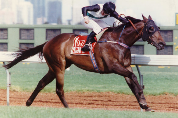 Better Loosen Up won the 1990 Cox Plate and Japan Cup for David Hayes.