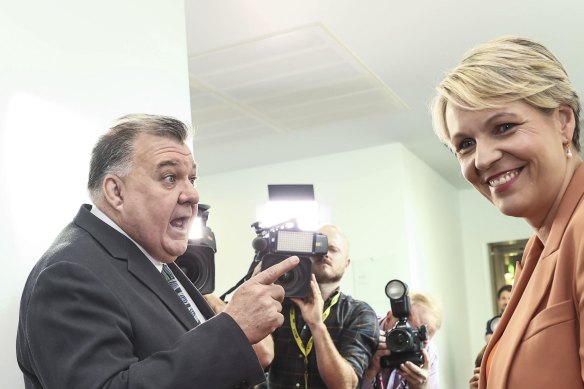 Craig Kelly and Tanya Plibersek argue in the hallway of Parliament House on Wednesday.