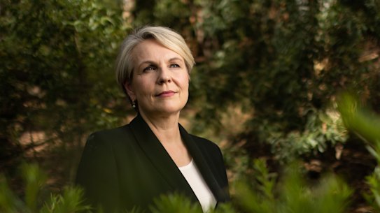 Minister for the Environment and Water Tanya Plibersek.