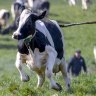 Forget military service, Australia needs mandatory farm stints