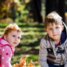 There are many reasons to love Canberra in Autumn. Who doesn't love playing in the leaves.