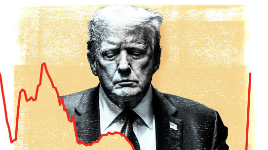 Donald Trump’s grand plan is for a tariff wall that, if completed, would push American tariffs back to their highest level since the 1930s.