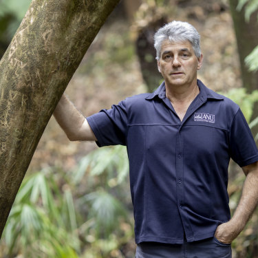 ANU professor David Lindenmayer says itâ€™s vital bushfire-ravaged ecosystems are left alone to recover.