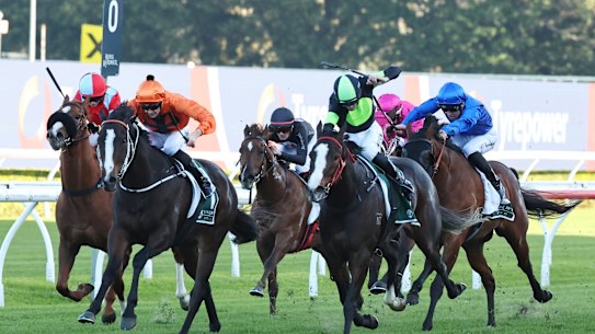 In flight, right, he overtakes Brudenell in last year's Bob Charley AO Stakes at Randwick.