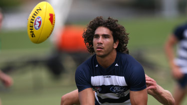 Cautious Cats Say Cockatoo S Hamstring Issue Just A Niggle