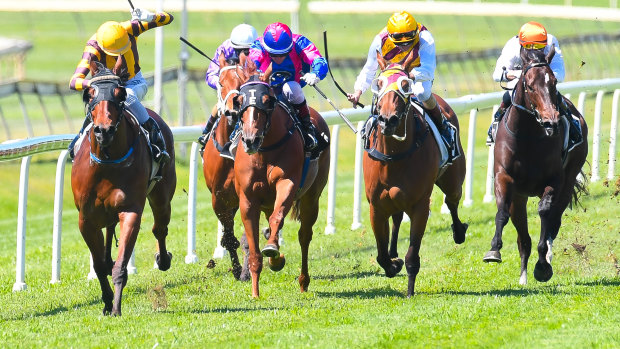 Heading south: Queensland mare Final Zero will tackle the 2019 Membership Handicap at Randwick on Saturday.