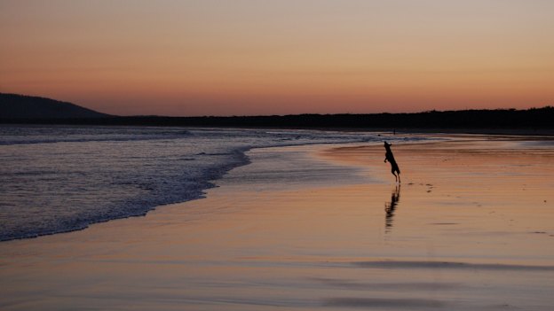 Bookended by rivers and camping grounds, Seven Mile Beach has the added bonus of a small national park running the length of the beach.