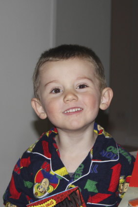 William Tyrrell vanished in 2014.