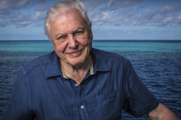 David Attenborough is one of the experts on hand in this documentary looking at some of the thousands of different bioluminescent species on our planet.