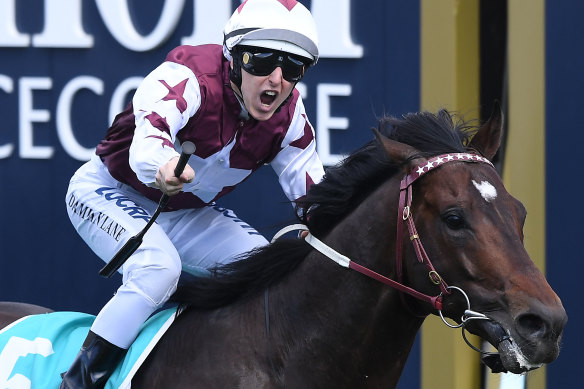 Land Of Plenty, winning last year's Toorak Handicap.