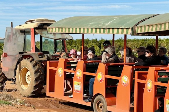 Tractor train tour at Orange World.