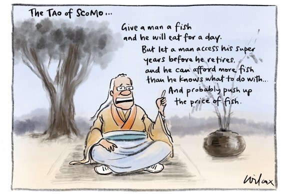 Illustration: Cathy WIlcox