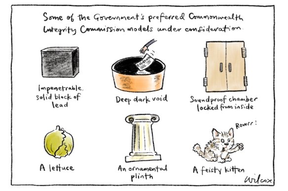 Illustration: Cathy Wilcox