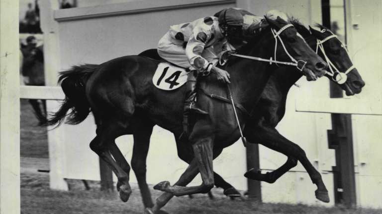 Legend: Light Fingers wins the 1965 Melbourne Cup.