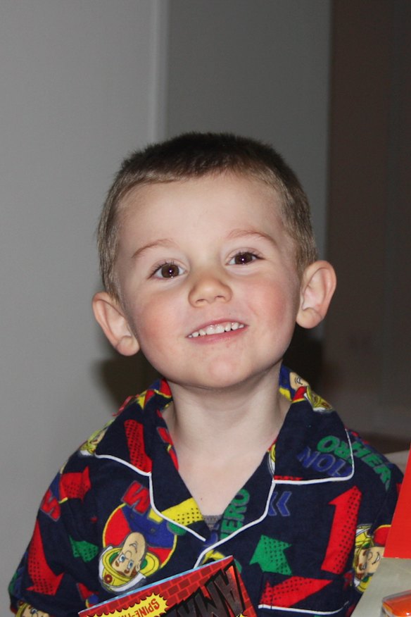 William Tyrrell vanished in 2014.