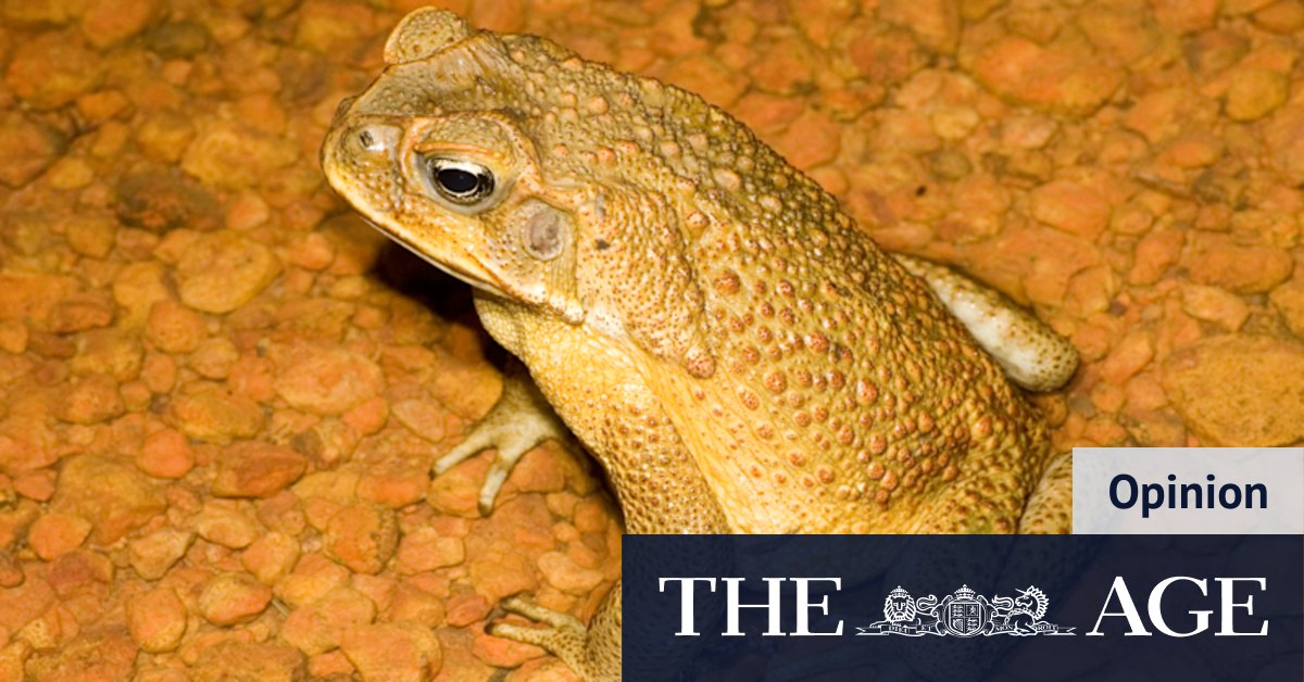 Could this be the best science story of 2025?