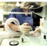 An embryologist at the Monash Medical IVF clinic at the Epworth Hospital.