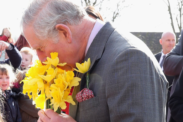 While enjoying daffodils on a visit to Wales in 2017, King Charles chose a different bloom to inspire his first scent for Penhaligon’s