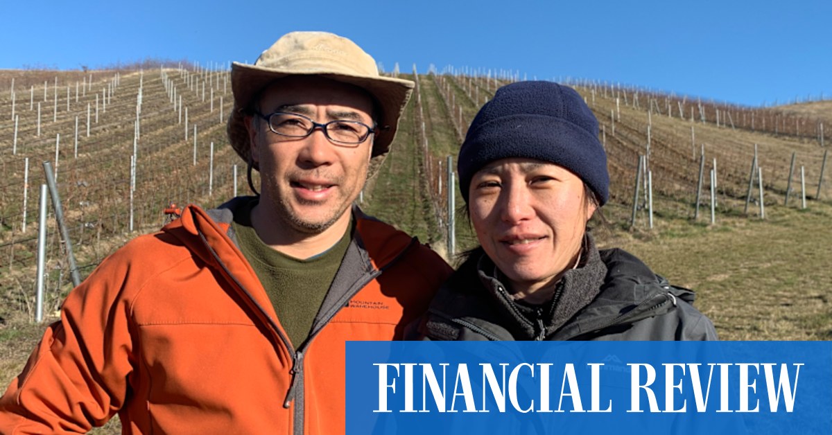 Max Allen reviews Sato Wines' pinot gris, cabernet franc, pinot noir – wines created by former bankers Yoshiaki and Kyoko Sato - Vimarsana News