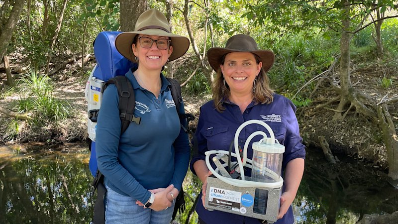 SEQ wildlife whisperers prove platypus population’s proliferating